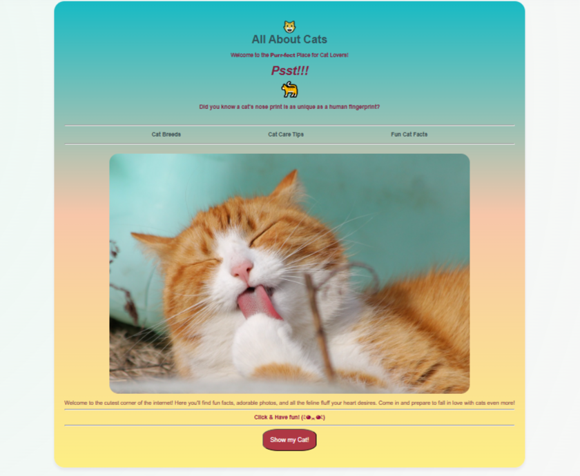 Cat Website Project Preview